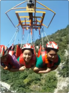 Flying Fox