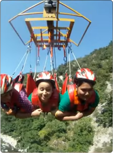 Flying Fox